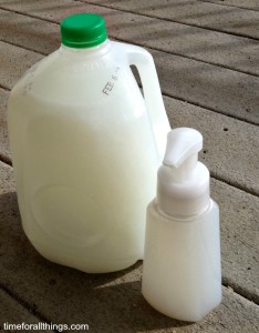 How to Make Foaming Hand Soap - Time For All Things